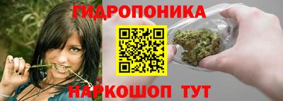прущие крисы Краснознаменск