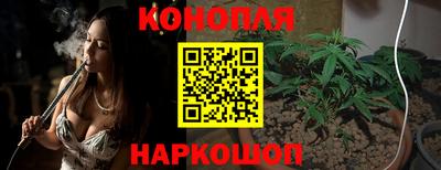прущие крисы Краснознаменск