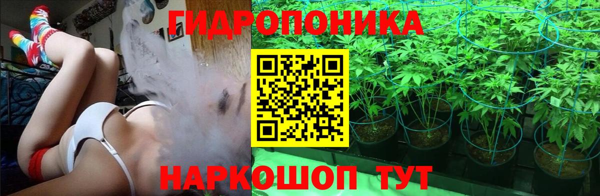 Кольчугино  Конопля конопля  Вход с VPN  Бошки Шишки конопля  Шишки марихуана AK-47 